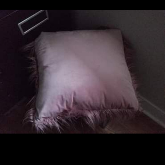 Throw pillow - Picture 2 of 2